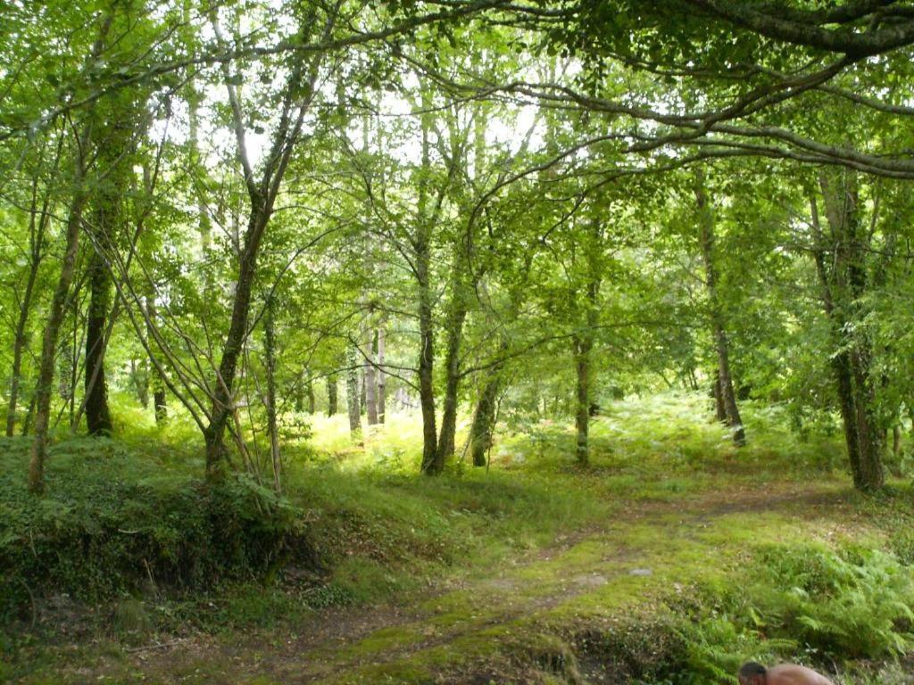 Chalet Camping Les Vignes Lit et Mixe Bagian luar foto