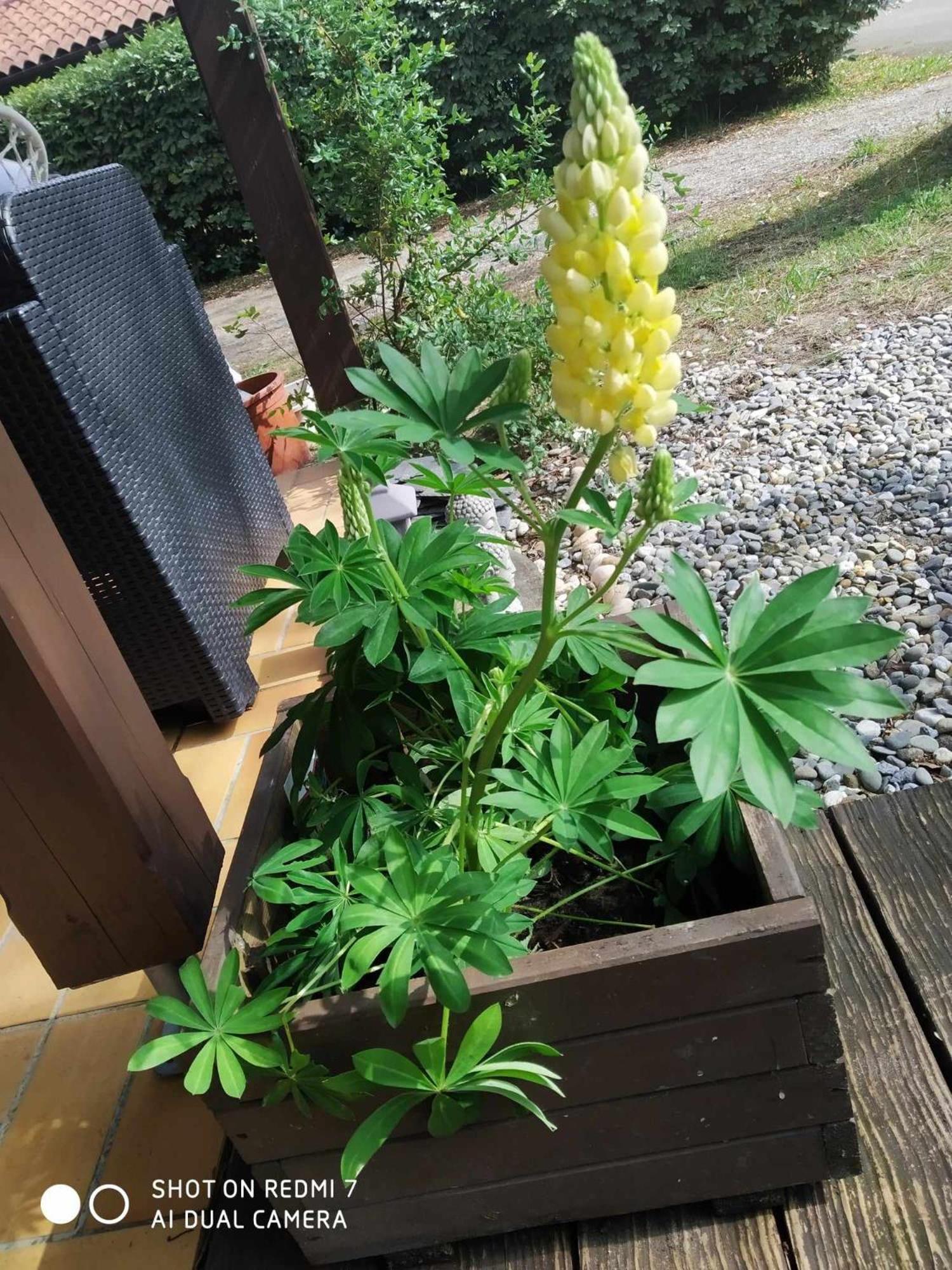 Chalet Camping Les Vignes Lit et Mixe Bagian luar foto